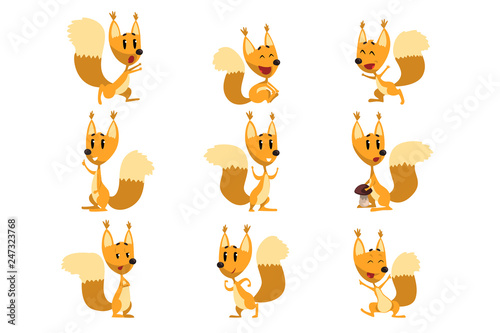 Funny squirrel cartoon character set, cute forest animal with different actions and emotions vector Illustrations © topvectors