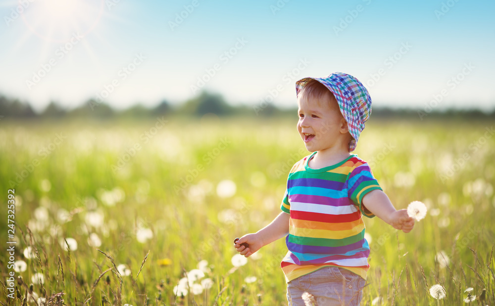 Baby boy standing in grass on the fieald with dandelions Baby boy standing in grass on the fieald with dandelions