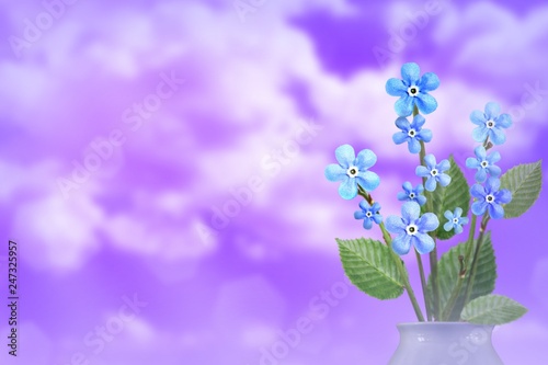 Beautiful live forage bouquet bouquet in porcelain vase with blank place for your text on left on cloudy sky background.