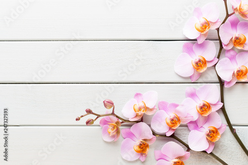 Orchid flower on the wooden pastel background. Spa and wellness scene.