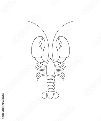 Lobster circuit. Isolated lobster on white background