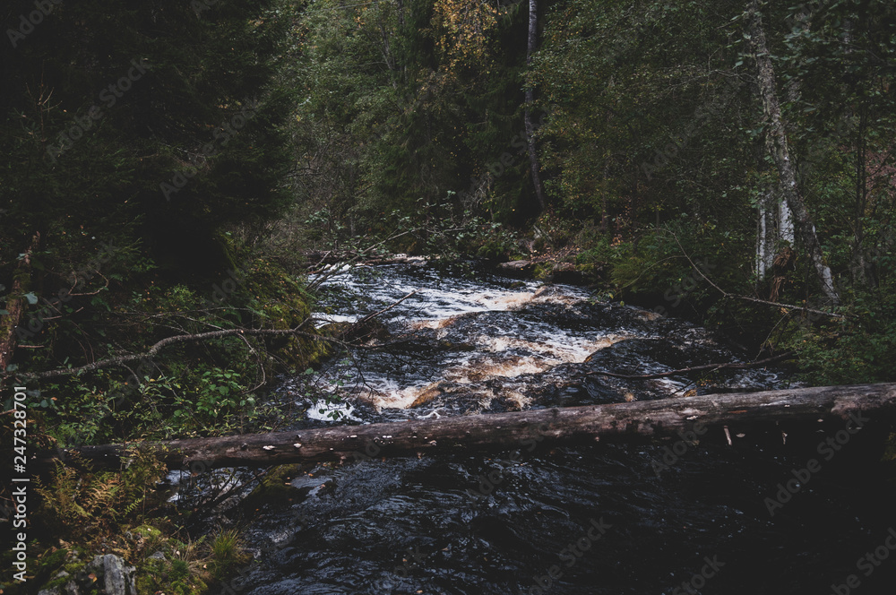 Fototapeta premium Travel in Karelia 