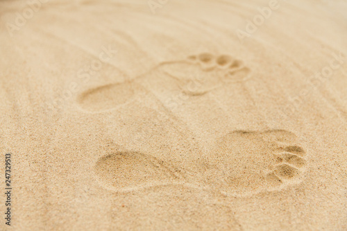 summer vacation concept - footprints in sand on beach