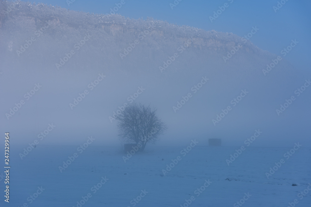 Winterlandschaft bei Feldkirch in Vorarlberg