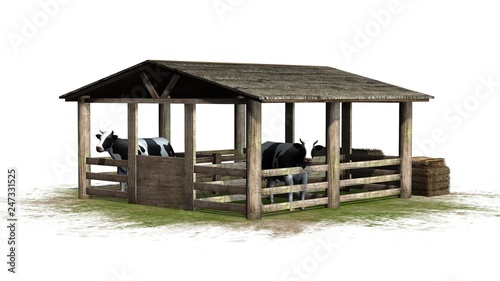 Cows in barn on a green area - isolated on white background © sabida