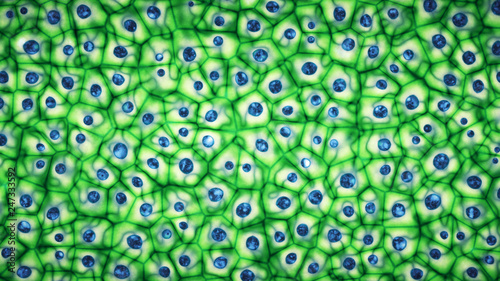 Embryonic bright green stem cells colony under a microscope. Cellular therapy and research of regeneration and disease treatment in 3D illustration. Biology and medicine of human body concept . 4K