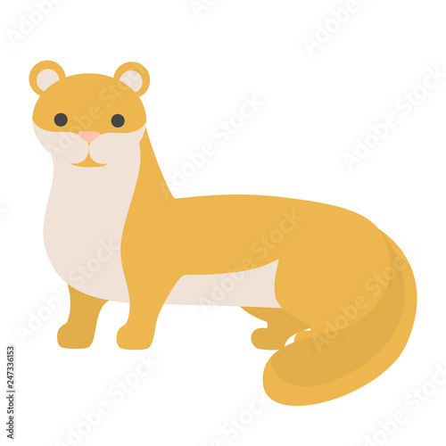Ferret animal. Domestic polecat with fluffy fur