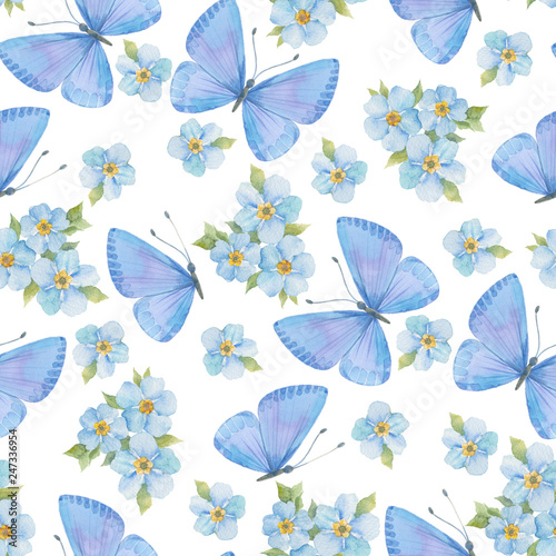 Seamless pattern with watercolor butterflies and forget-me-nots on white background. © maritime_m