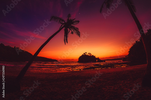 Coconut palms and pink sunset at tropical beach with ocean photo