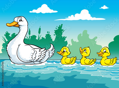 duck and ducklings