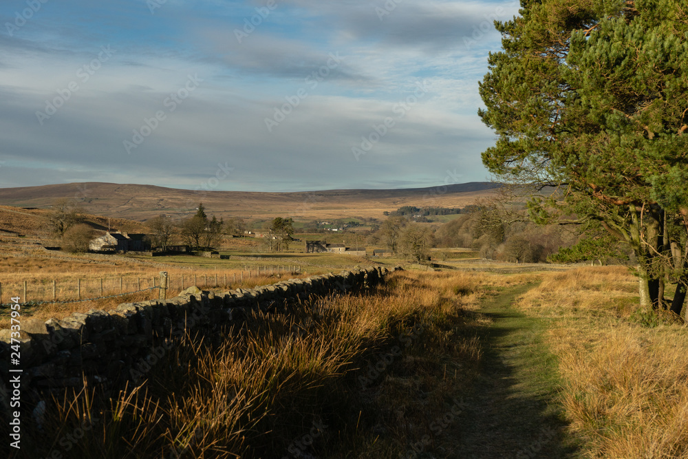 View of South Tyne valley near Garrigill, Cumbria
