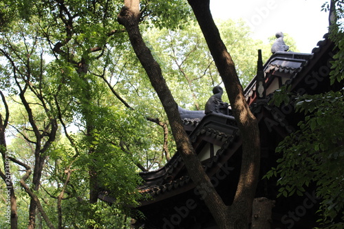 tree in the park