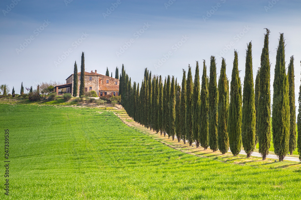 A Farmhouse near San Quirico d'Orcia with green hills and cypresses.