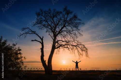 Silhouette of man under the tree on a beach