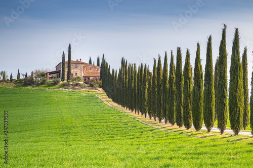A Farmhouse near San Quirico d Orcia with green hills and cypresses.