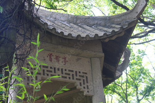 japanese lantern