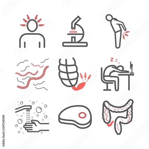 Tapeworms. Symptoms. Line icons set. Vector signs for web graphics.