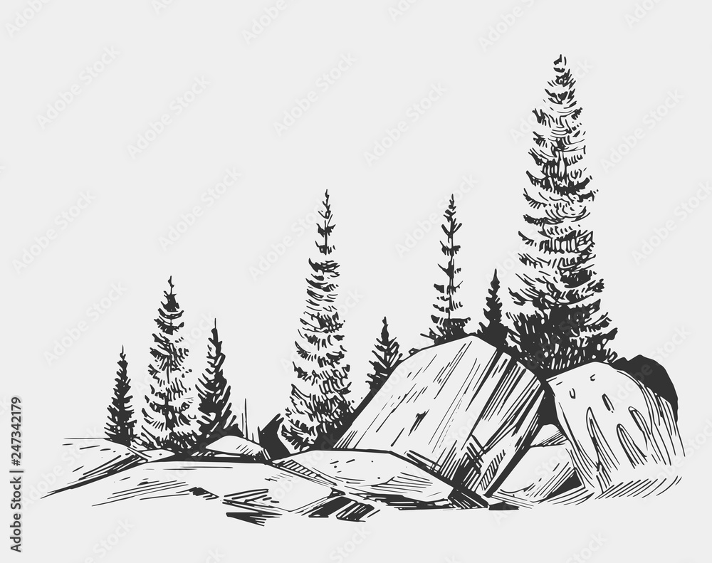 Plakat Wild natural landscape with lake, rocks, trees. Hand drawn illustration converted to vector.