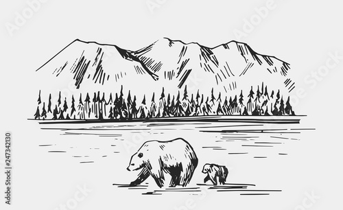 Wild natural landscape with bears in the river. Alaska region. Hand drawn illustration converted to vector.