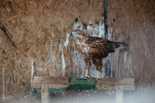 Wildlife Rehabilitation Centre