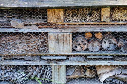 Close view of the contents of an insect hotel.