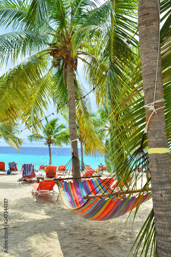 Hammock between palm trees on Curacao beach.
