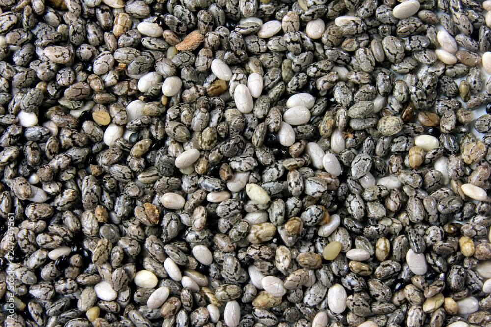 isolated chia seeds forming background with their pattern of organization. Top view isolated chia seeds forming background with their pattern of organization. Top view