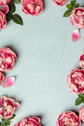 Принти на полотні Border of beautiful pink tulips on blue shabby chic background