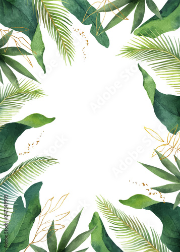 Watercolor vector banner tropical leaves isolated on white background.