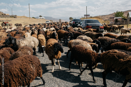 Traffic Jam, Krygyzstan