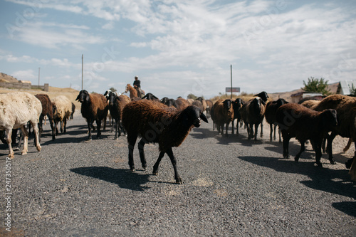 Traffic Jam, Krygyzstan