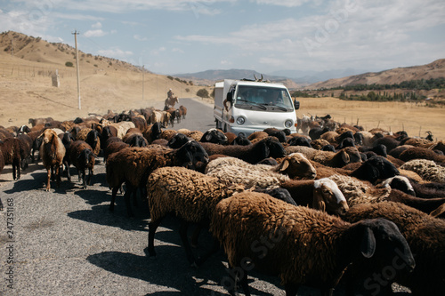 Traffic Jam, Krygyzstan