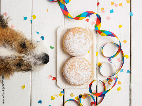 Draufsicht auf eine Hundeschnauze und Faschingskrapfen, Fasching