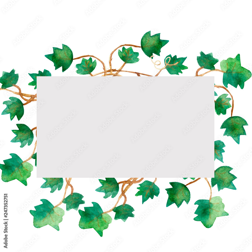 Watercolor painting of green ivy leaves isolated on a white background. Watercolor hand painted illustration. Green pattern of climbing branches and green leaves ,Wallpaper or textile illustration of 