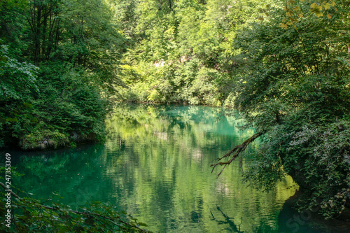 Canvas Print Source de la Loue. River  near the city of Ouhans in France
