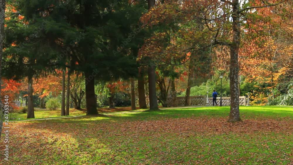 People walking in the autumn park. People walking in the autumn park.