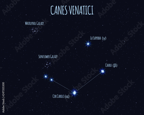 Canes Venatici (The Hunting Dogs) constellation, vector illustration with the names of basic stars against the starry sky 