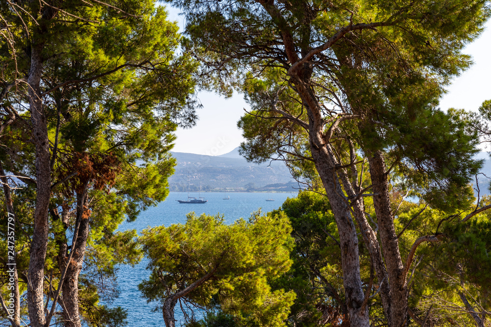 view through trees on Nvarino bay and Pylos port, Messenia