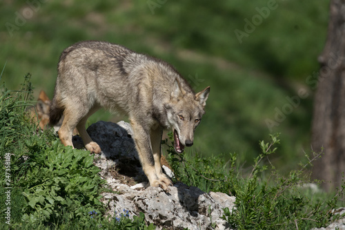 parco nazionale d abruzzo 2019