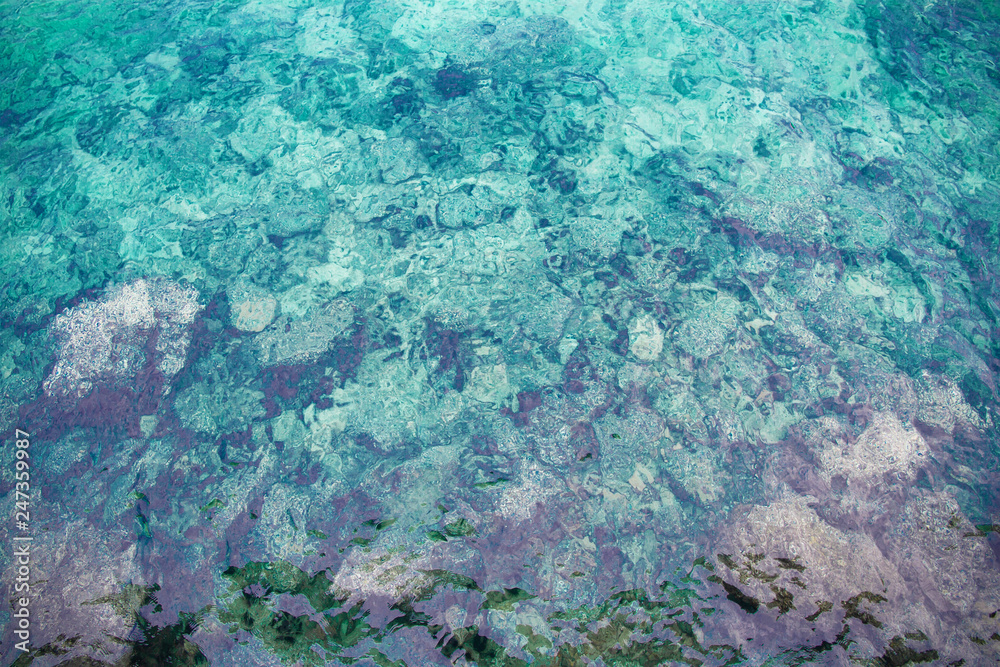 Fototapeta premium Beautiful coral in sea blue summer
