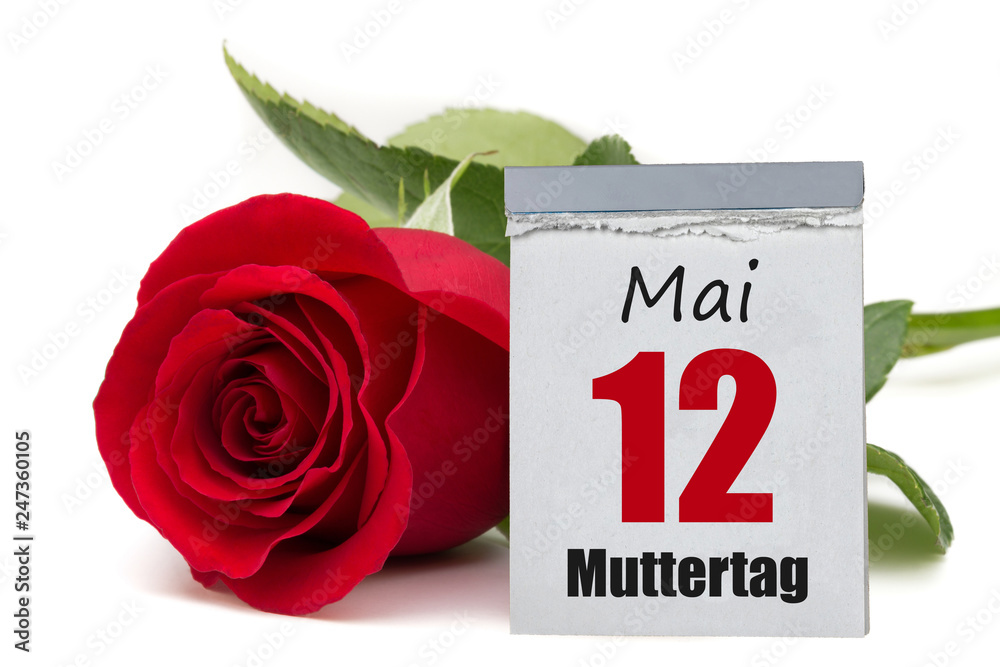 Muttertag 12.Mai / Kalender mit roter Rose Stock Photo | Adobe Stock