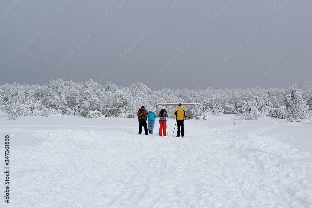 a group of tourists in bright sports suits are skiing at the entrance to the snow-covered forest