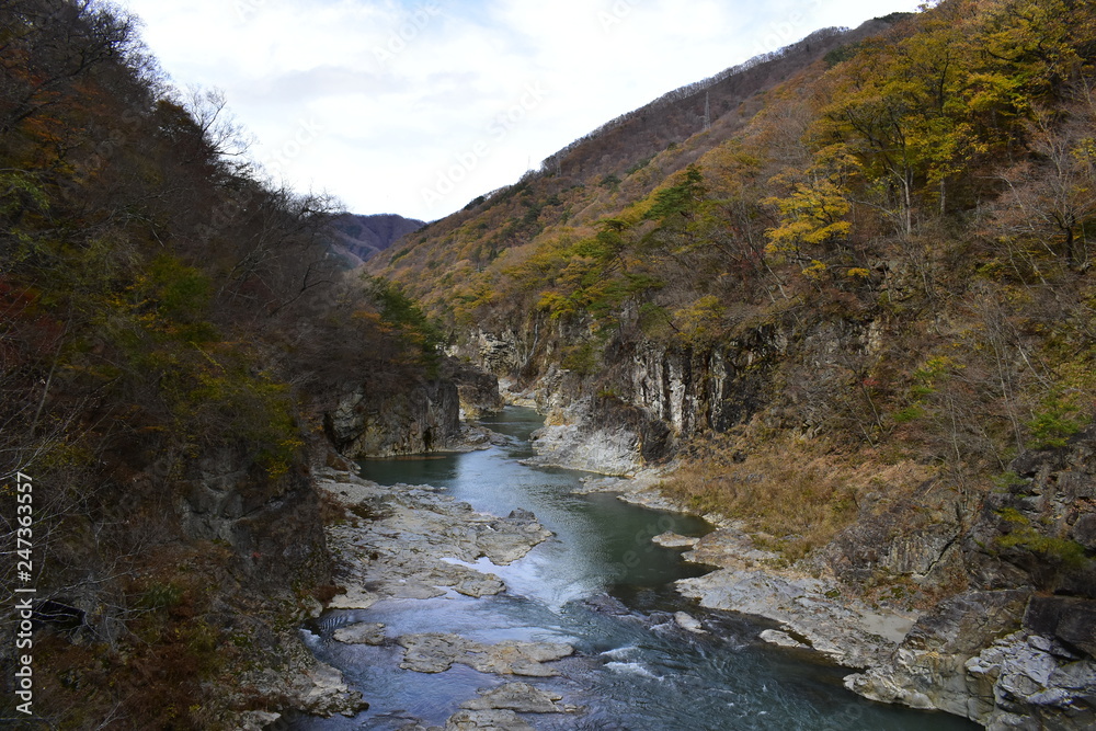 山003