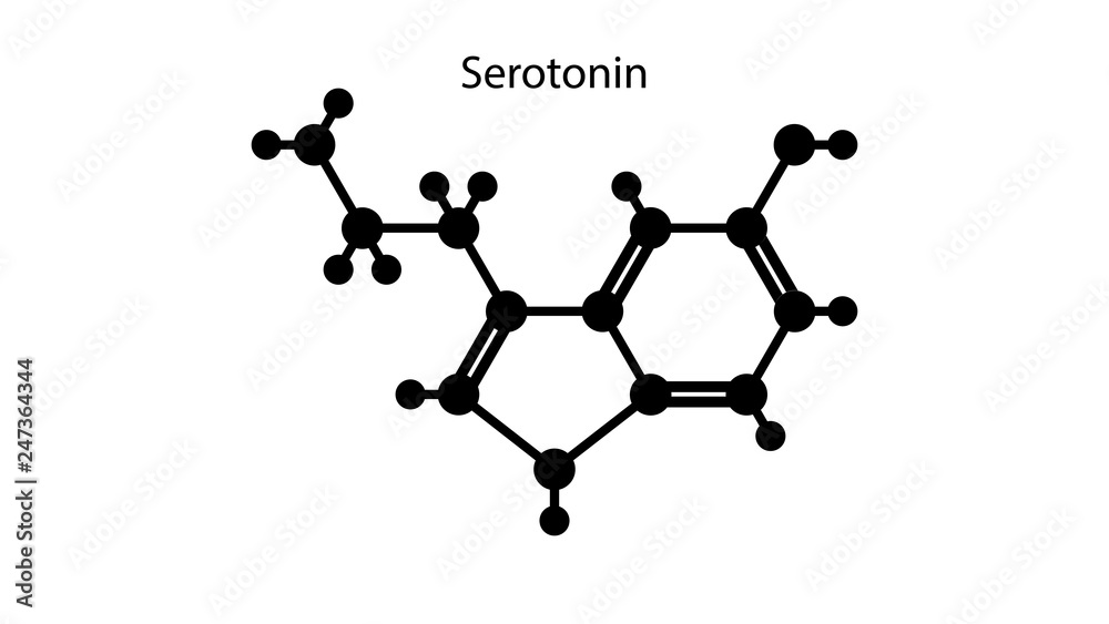Serotonin structure. Molecular structure vector design. Serotonin vector Serotonin structure. Molecular structure vector design. Serotonin vector