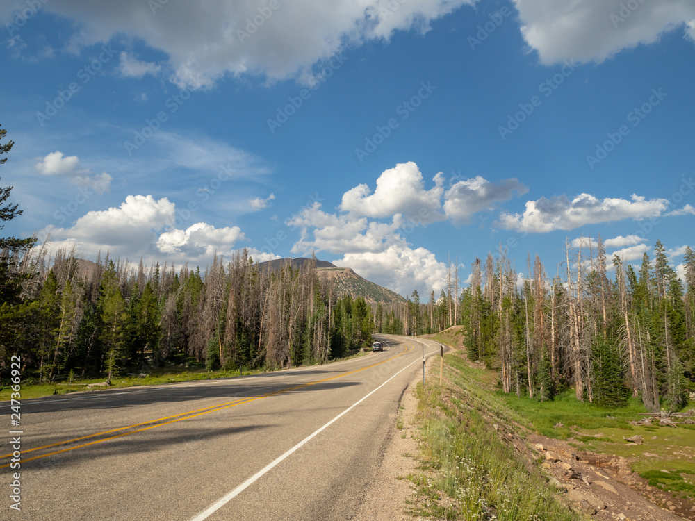 Fototapeta premium Uinta-Wasatch-Cache National Forest, Mirror Lake, Utah, United States, America, near Slat Lake and Park City