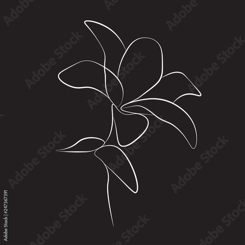 One line drawing flower, vector illustration