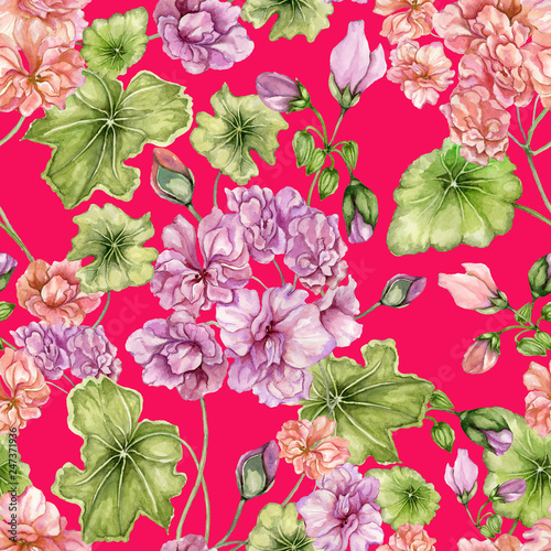 Beautiful floral background with pelargonium flowers and leaves. Seamless bot...