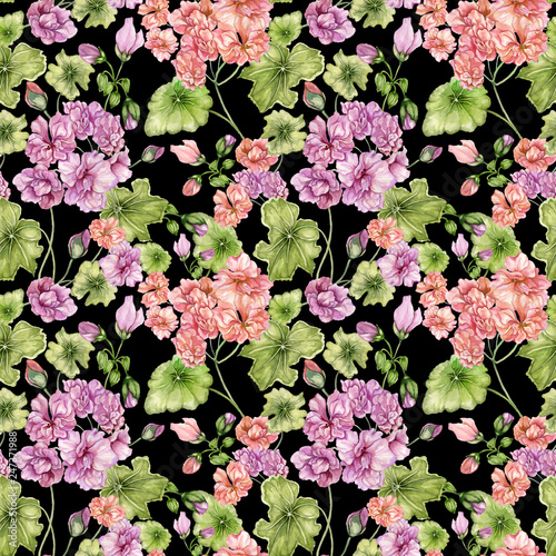 Beautiful floral background with pelargonium flowers and leaves. Seamless bot...