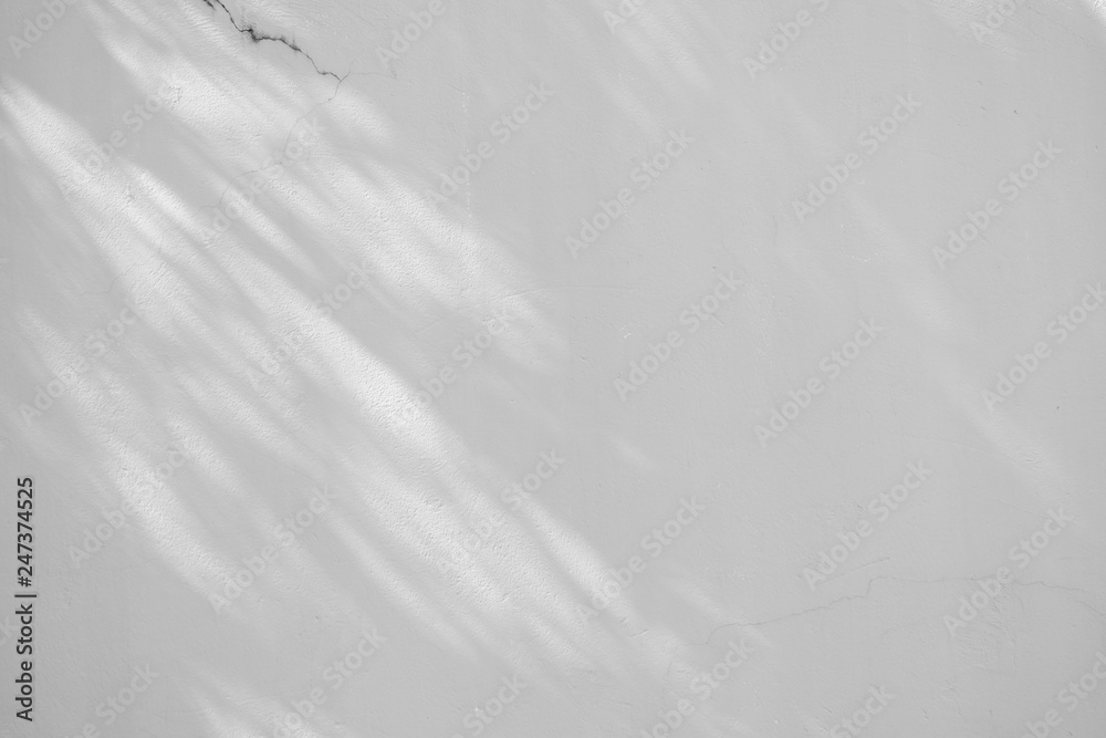 Obraz premium Black and White abstract background textuer of shadows leaf on a concrete wall