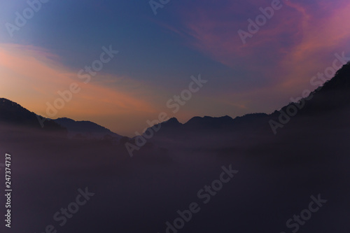 Nature landscape sunrise with fog in morning tea field © themorningglory
